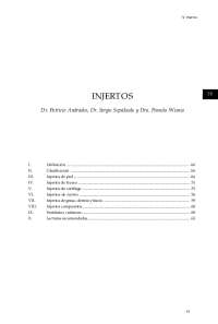 Cirugia plástica: Injertos de piel