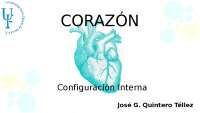 Anatomía Cardíaca: Configuración Interna del Corazón de José G. Quintero Téllez