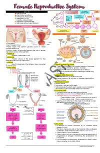 Female Reproductive System: Anatomy, Hormonal Production, and Menstrual Cycle