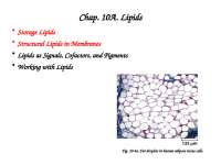 Lipids: Structure, Function, and Composition