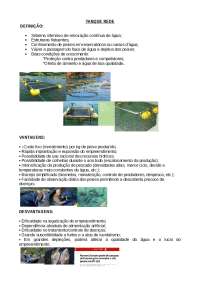 Tanque Rede: Definição e Vantagens do Cultivo Intensivo de Peixes