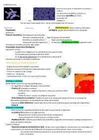 Streptococcus: Estructura, Patogenia, Enfermedades Clínicas y Diagnóstico