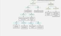 Enunciado mapa conceptual