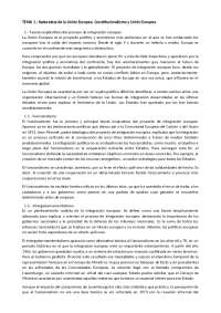 apuntes completos derecho de la UE