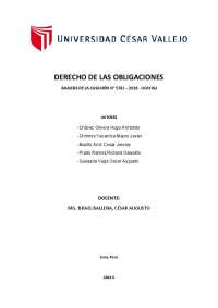 Informe sobre casación Ucayali