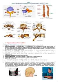 radiologia simple: proyecciones de la columna vertebral