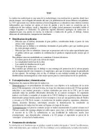 Traduccion Audiovisual: Teoría y Práctica en el Doblaje en España