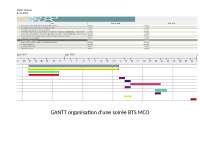 travail de GANTT BTS MCO