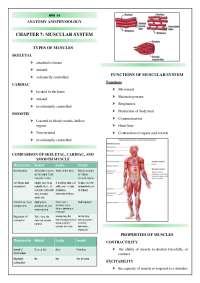 Muscular system of the body