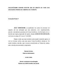 Peça Agravo em Execução