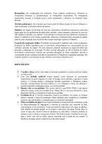 Anatomia Respiratória: Bronquios, Alvéolos e Pulmões