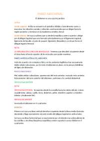 resumen de pared abdominal