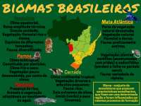 Mapa mental sobre Biomas Brasileiros | Esquemas Biologia | Docsity