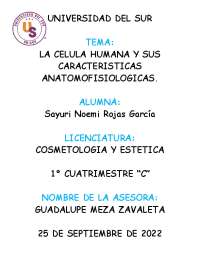 Características y Partes de las Células Eucariotas