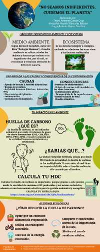 Introducción a la Psicología - Infografia sobre la huella de carbono ...