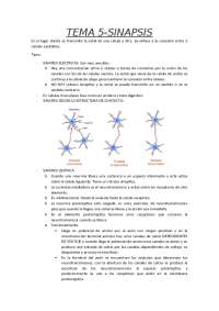 Tema 5 - la sinapsis | Apuntes de Fisiología | Docsity