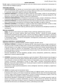 Fisiología Endocrina y Reproductiva (femenino y masculino)