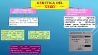 Genética del Sexo: Determinación Heréditaria y Cromosomas Sexuales