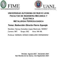 Reducción Directa Fierro Esponja Apuntes De Metalurgia Docsity