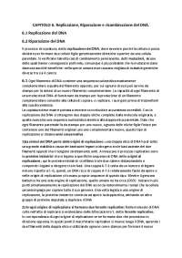 Replicazione, riparazione e del DNA Appunti di