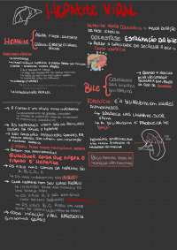 Hepatites virais: causas, tipos