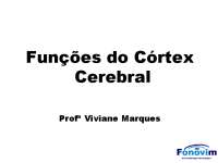 Funções do córtex cerebral