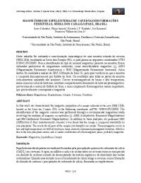 Mineralogia e magnetismo de espeleotemas em formações ferríferas na Serra dos Carajás, PA