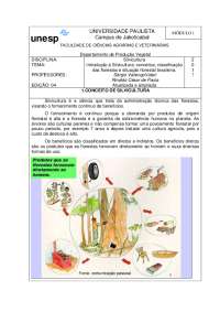 Silvicultura: Benefícios, Classificação e Situação Florestal no Brasil.