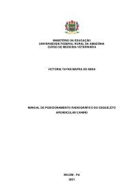 Radiografia Veterinária: Importância e Técnicas para Avaliação de Lesões Óseas