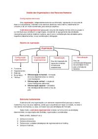 Gestão das Organizações e dos Recursos Humanos