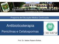 Antibióticos: Tipos, Ação e Dosagem de Cefalosporinas, Penicilinas, Quinolonas, Macrolídeo