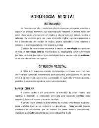 morfologia vegetal