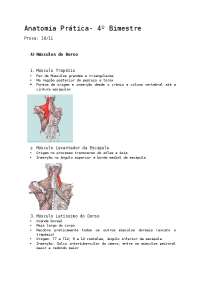 Atlas Anatomia- Dorso e Membro Inferior