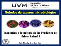Métodos de examen microbiológico en Alimentos: Tipos, Normas y Procedimientos