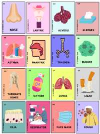 LOTERIA (SISTEMA RESPIRATORIO)