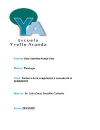 Cómo funciona la cascada de coagulación de la sangre: vías intrínseca y extrínseca