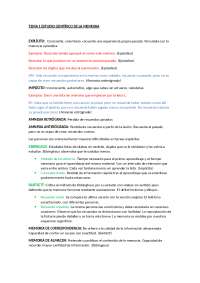 Examen memoria. Rubén Palomo