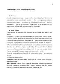 Identidade e Cultura Organizacional no UnitedHealth Group: Práticas, Valores e Ritos