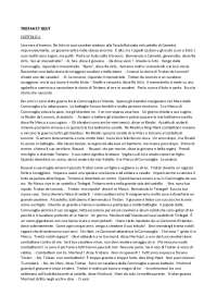 Esercizi di Francese (Istituto Tecnico Economico e del ...