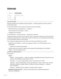 Sistema Endócrino: Glândula Adrenal