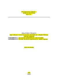 Modelo: relatório técnico