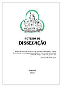 Dissecação de músculos e estruturas anatômicas em animais