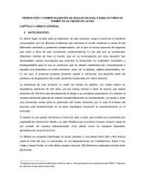 Elaboracion de bolsa biodegradable