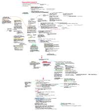 Prima guerra mondiale | Schemi e mappe concettuali di Storia ...