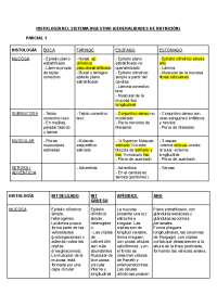Histología del Sistema Digestivo: Análisis de la Anatomía y Funciones de la Mucosa