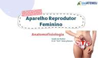 Sistema Reprodutor Feminino: Anatomia, Fisiologia e Ciclo Menstrual