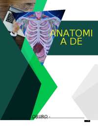 anatomía de tórax 1 - 2 .