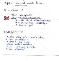 TYPES OF SKELETAL MUSCLE FIBRES | Study notes Physiology | Docsity