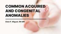 Common Anomalies in Infants: Colic, Failure to Thrive, and Hydrocephalus