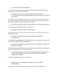 Sistema cardiovascular cuestionario